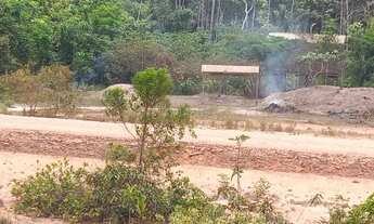 Imagem 5: TERRENO NA BR 319