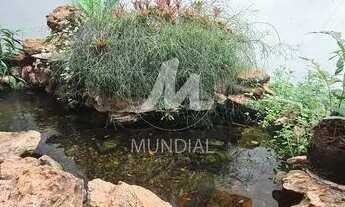 Imagem 6: Casa (térrea na rua) 4 dormitórios/suite, cozinha planejada