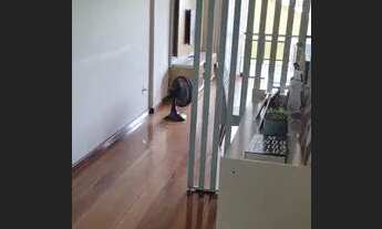 Imagem: Excelente apartamento 3 quartos sendo 1