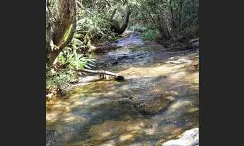 Imagem 6: Terreno com água em abundância na região Serra da Canastra, MG