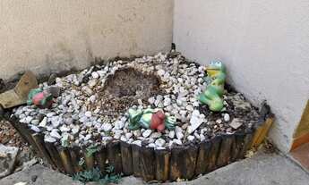 Imagem 3: Casa para venda tem 220 metros quadrados com 3 quartos em Vila Rosa - Goiânia - GO