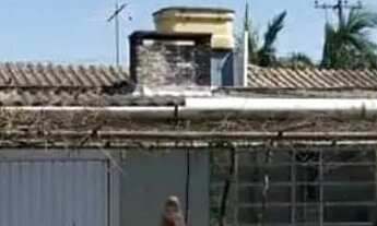 Imagem 3: U- 507 Oportunidade de Fundamento Vendo 42.000 metros quadrados em Pelotas