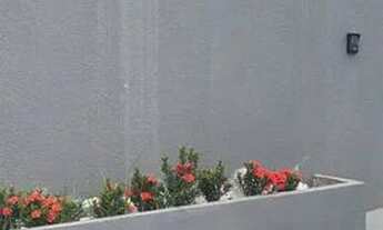 Imagem: Loft atrás do Hospital Santa Rosa