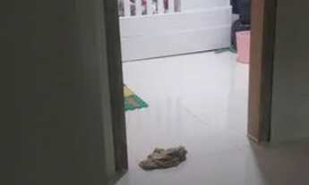 Imagem 5: Vendo casa com 2 quartos em Saracuruna