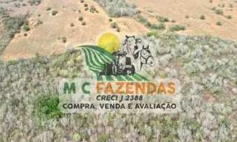 Imagem 6: Fazenda à Venda em Jeremoabo | Potencial p/ Agricultura e Pecuária