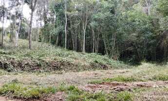 Imagem 2: Excelente terreno para sítio ou investimento