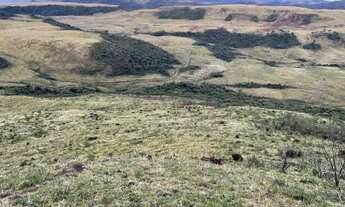 Imagem 5: Chácara em Urubici-SC á venda 20.000 m²