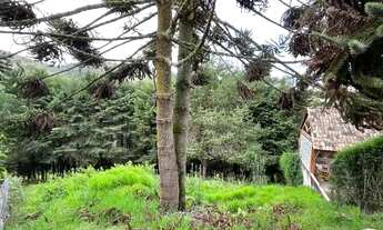 Imagem 3: Terreno em condomínio de alto padrão em Campos do Jordão