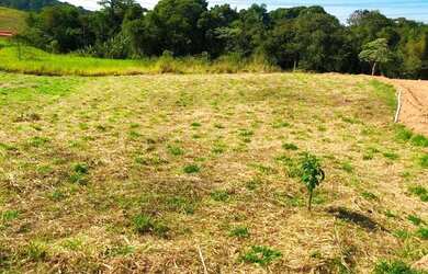 Imagem 2: Lote/Terreno para venda possui 600 metros quadrados em Centro - Cotia - SP