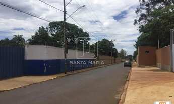 Imagem 3: Salão/Galpão (salão - térreo