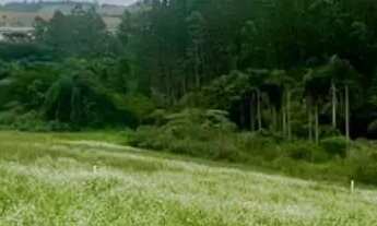 Imagem: 86C- COTIA LANÇAMENTO COM PREÇO BAIXO