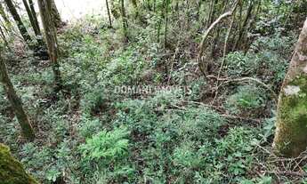Imagem 3: Lote de Terreno à Venda na Região do Parque Pedra do Baú - Campos do Jordão/SP