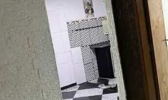 Imagem 6: Alugo ou vendo casa no segundo andar é independente porém com a entrada compartilhada