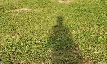 Imagem 7: Vendo terrenos na praia da caueira a 250 metros da praia na melhor localização