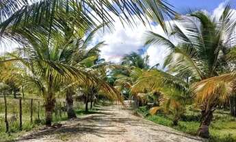 Imagem: Chácara em Piaçabuçu a venda