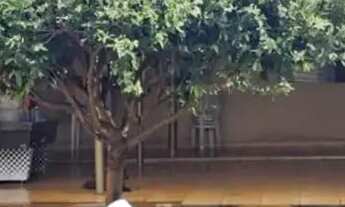 Imagem 4: Casa á venda com 2 quartos no Balsamo em Campo Grande - MS