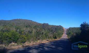 Imagem 5: Fazenda à venda, 2500000 m² por R$ 1.900.000,00 - Litoral Norte - Jandaíra/BA