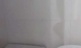 Imagem 7: /Vendo Prédio com 8 apartamentos no Japiim