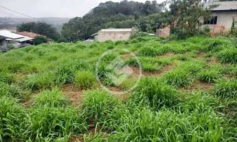 Imagem 3: Terreno em Lindoeste codigo: 136144