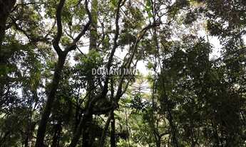 Imagem 7: Lote de Terreno à Venda na Região do Parque Pedra do Baú - Campos do Jordão/SP