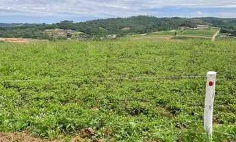 Imagem: He Lotes em promoção no interior de São