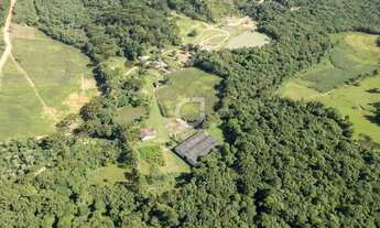 Imagem 7: Sítio com 10 Alqueires a 30 Min de Curitiba Estrutura Completa e 90% Mecanizável