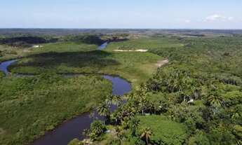 Imagem 4: Vendo excelente Fazenda no município de Jaguaripe