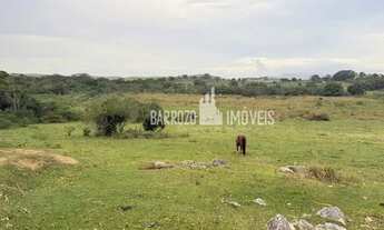 Imagem 6: Barrozo Imóveis - Propriedade a venda com 19.3 ha (193.000 m²) PLANA com nascente e pasto