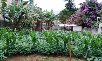 Imagem: Terreno, Jardim Shangrilá (Zona Sul), São