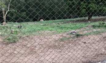 Imagem 5: Terreno à venda, 4717 m² por R$ 510.000,00 - Parque Rio Abaixo - Atibaia/SP