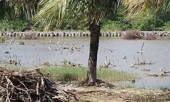 Imagem 7: Sítio com 9 viveiros camarão/peixes