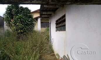 Imagem 4: Terreno bem localizado