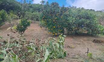 Imagem 7: Vendo este terreno