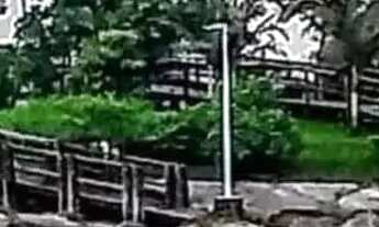 Imagem 7: Alugo casa para temporada Natal ano novo