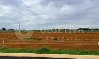 Imagem 12: Terreno em Condomínio à venda, Reserva Novo Mundo - UBERLANDIA/MG