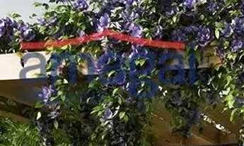 Imagem 6: Apartamento em São José dos Campos, no bairro Residencial Gazzo, à venda