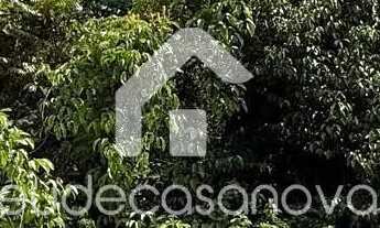 Imagem 2: 3 Lotes / Chácaras de January - Iranduba