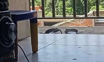 Imagem 3: Vendo terreno com casa