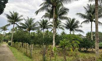 Imagem 2: Terreno pra sítio