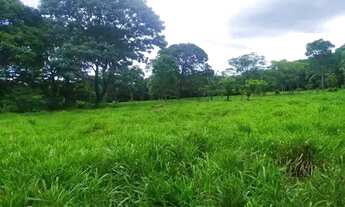 Imagem 4: Sitio c/ 100he (Escriturado), Terra de Cultura, Agrovila da Palmeiras-MT