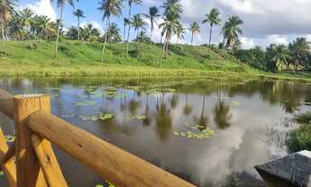 Imagem 4: Sunset Frente Norte quitado - Aceito oferta - Rainha dos Lotes