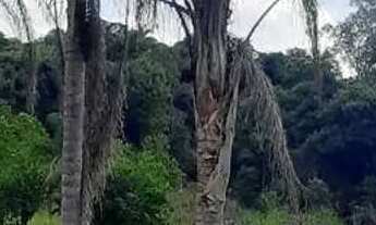 Imagem 7: Sítio com 5 dormitórios à venda, 68000 m² por R$ 4.250.000,00 - Bairro da Aparecidinha - I