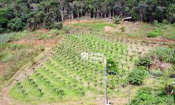 Imagem 6: Chácara à venda, 20000 m² por R$ 1.100.000,00 - Varginha - Nova Friburgo/RJ