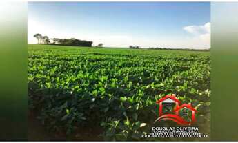 Imagem: Fazenda De 1980Hect Em Silvanópolis -TO