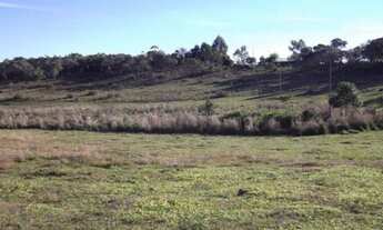 Imagem 3: Linda fazendinha de 11 hectares, Jaboticatubas (Temos varias opções)