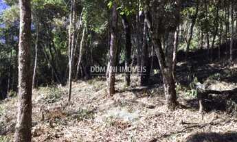 Imagem 6: Amplo Lote de Terreno à Venda no Colinas do Imbiri - Campos do Jordão/SP