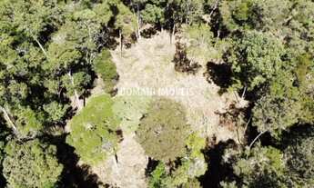 Imagem 3: Amplo Lote de Terreno à Venda no Colinas do Imbiri - Campos do Jordão/SP