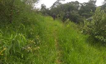 Imagem 2: Vendo meu terreno em Santa Isabel