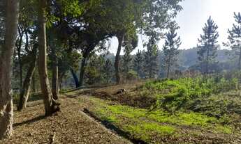 Imagem 6: Chácara com 5.860 mts dentro de condomínio fechado