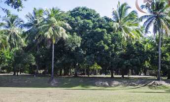Imagem 7: Sítio a venda Arembepe Bahia